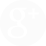 Google+ icon